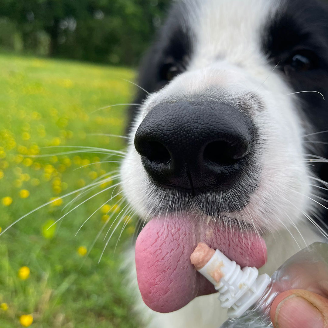 120g Yoggies paté - kip