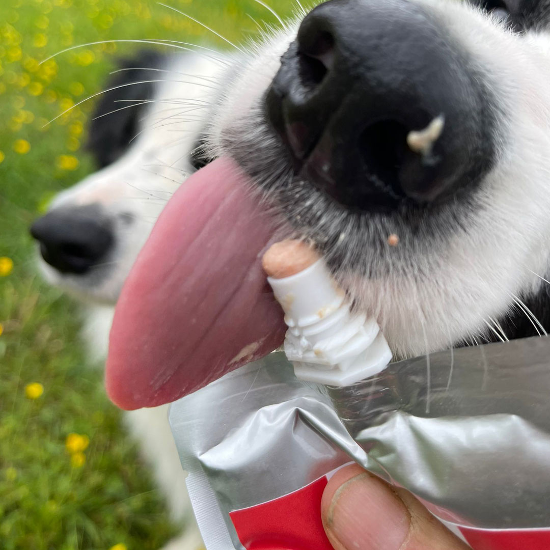 120g Yoggies paté - kip