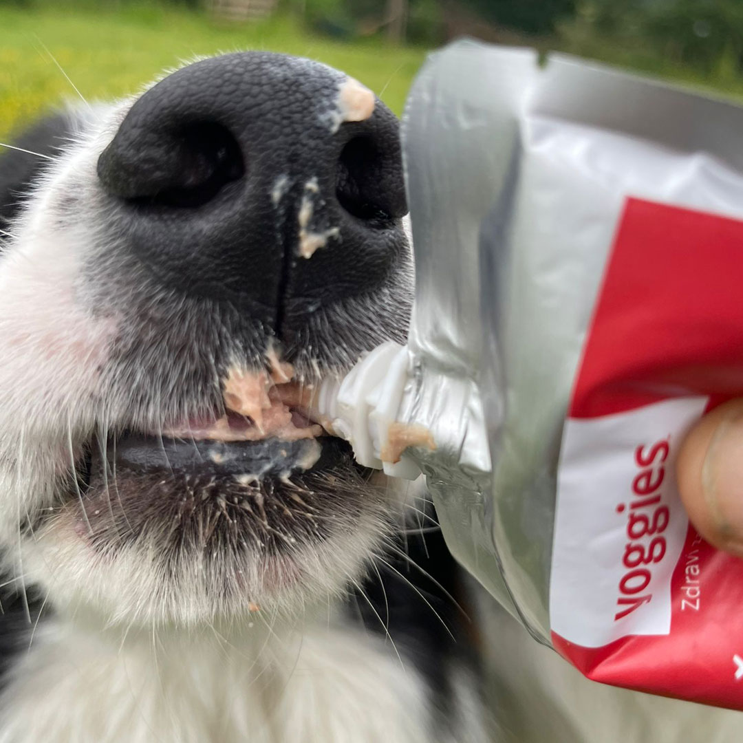 120g Yoggies paté - kip