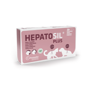 Hepatosil Plus kleine ras.