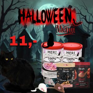 Halloween Actiepakket voor Katten – Lekker Griezelen!